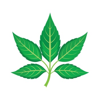 Realistic Beautiful Leaves Illustration vector