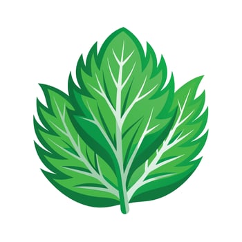 Realistic Beautiful Leaves Illustration vector