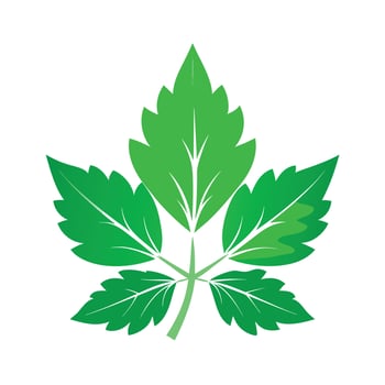 Realistic Beautiful Leaves Illustration vector