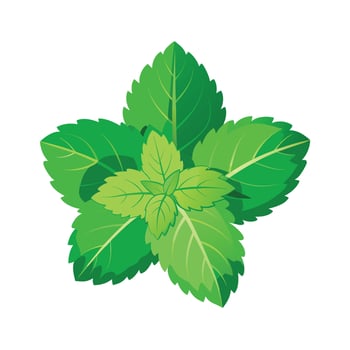 Realistic Beautiful Leaves Illustration vector