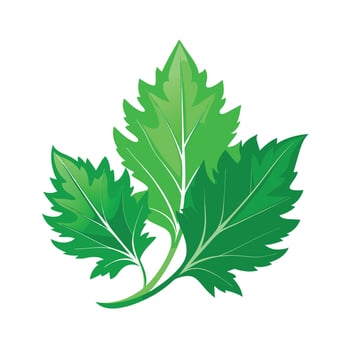 Realistic Beautiful Leaves Illustration vector