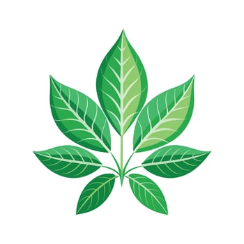 Realistic Beautiful Leaves Illustration vector