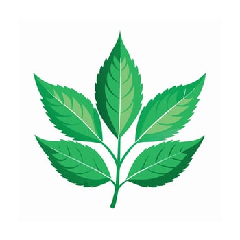 Realistic Beautiful Leaves Illustration vector