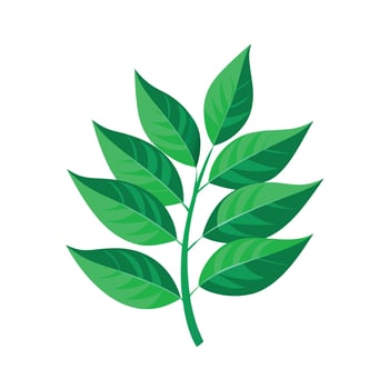 Realistic Beautiful Leaves Illustration vector