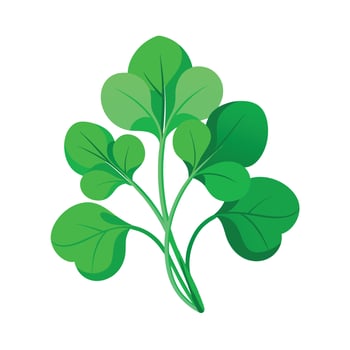 Realistic Beautiful Leaves Illustration vector