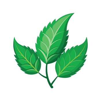 Realistic Beautiful Leaves Illustration vector