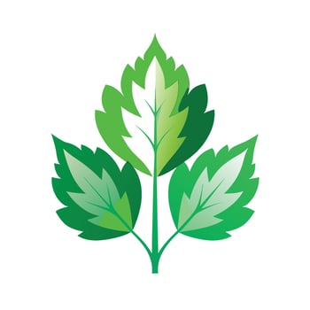 Realistic Beautiful Leaves Illustration vector