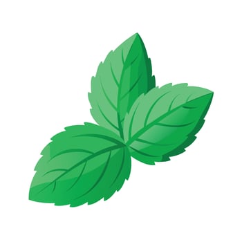Realistic Beautiful Leaves Illustration vector