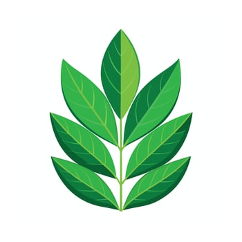 Realistic Beautiful Leaves Illustration vector