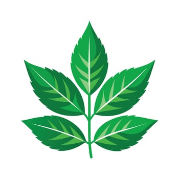 Realistic Beautiful Leaves Illustration vector