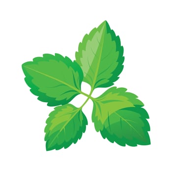 Realistic Beautiful Leaves Illustration vector