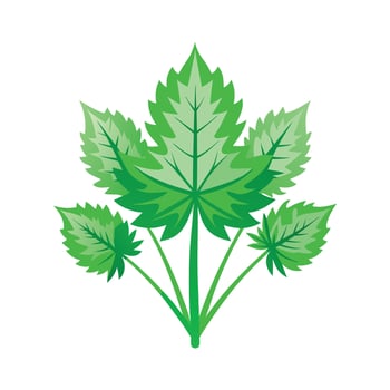 Realistic Beautiful Leaves Illustration vector
