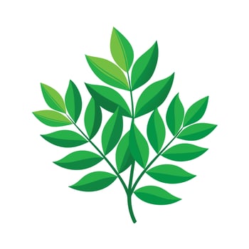 Realistic Beautiful Leaves Illustration vector