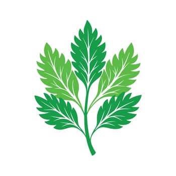 Realistic Beautiful Leaves Illustration vector