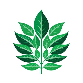 Realistic Beautiful Leaves Illustration vector