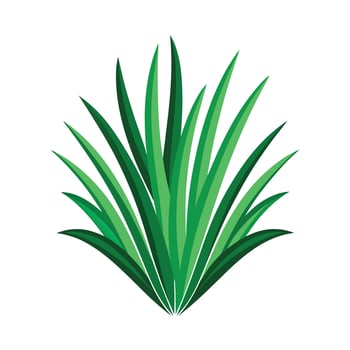Realistic Beautiful Leaves Illustration vector