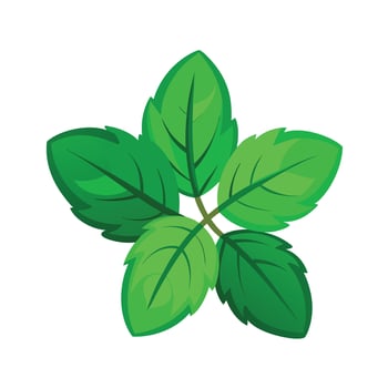 Realistic Beautiful Leaves Illustration vector