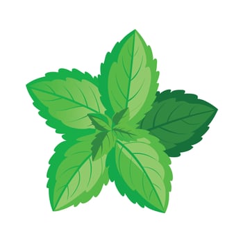 Realistic Beautiful Leaves Illustration vector