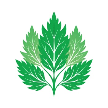 Realistic Beautiful Leaves Illustration vector
