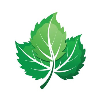 Realistic Beautiful Leaves Illustration vector