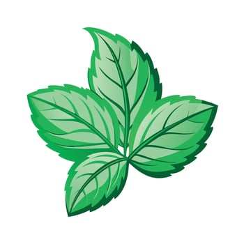 Realistic Beautiful Leaves Illustration vector
