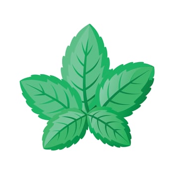 Realistic Beautiful Leaves Illustration vector