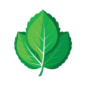 Realistic Beautiful Leaves Illustration vector