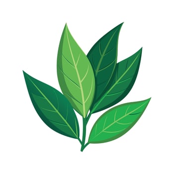 Realistic Beautiful Leaves Illustration vector