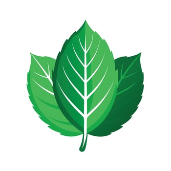 Realistic Beautiful Leaves Illustration vector