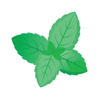 Realistic Beautiful Leaves Illustration vector