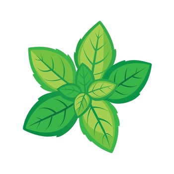Realistic Beautiful Leaves Illustration vector