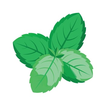 Realistic Beautiful Leaves Illustration vector