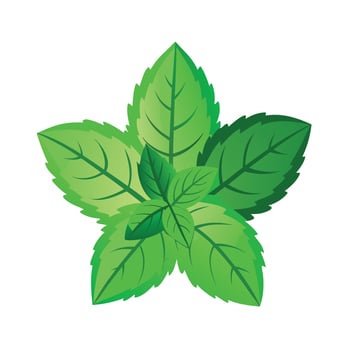 Realistic Beautiful Leaves Illustration vector