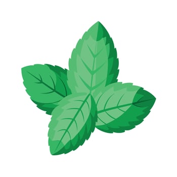 Realistic Beautiful Leaves Illustration vector