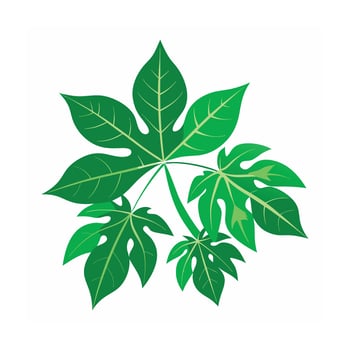 Realistic Beautiful Leaves Illustration vector