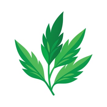 Realistic Beautiful Leaves Illustration vector