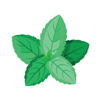 Realistic Beautiful Leaves Illustration vector