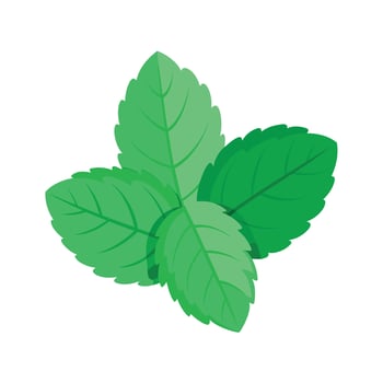 Realistic Beautiful Leaves Illustration vector