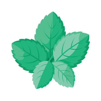 Realistic Beautiful Leaves Illustration vector