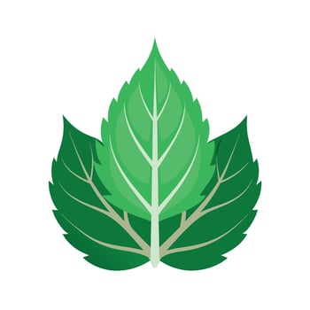 Realistic Beautiful Leaves Illustration vector