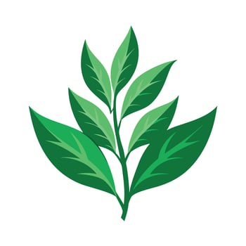 Realistic Beautiful Leaves Illustration vector