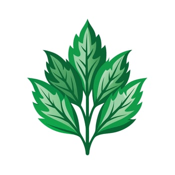 Realistic Beautiful Leaves Illustration vector
