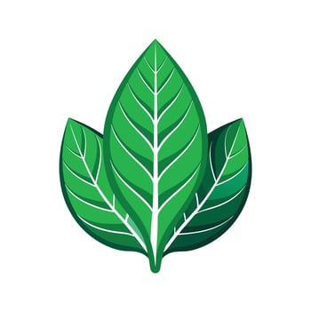 Realistic Beautiful Leaves Illustration vector