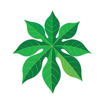 Realistic Beautiful Leaves Illustration vector