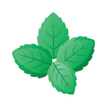 Realistic Beautiful Leaves Illustration vector