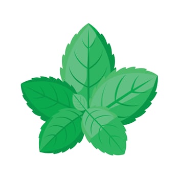 Realistic Beautiful Leaves Illustration vector