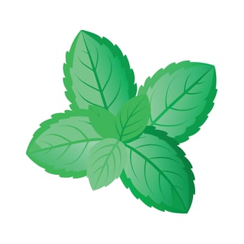 Realistic Beautiful Leaves Illustration vector