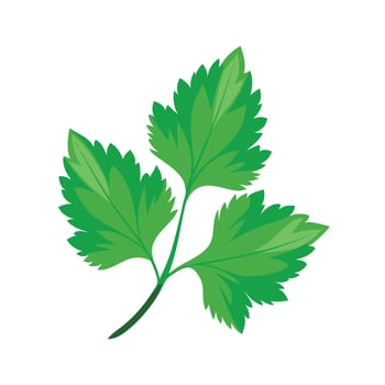 Realistic Beautiful Leaves Illustration vector