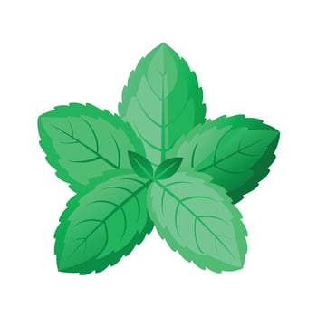 Realistic Beautiful Leaves Illustration vector