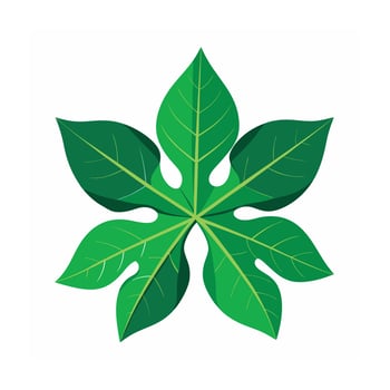 Realistic Beautiful Leaves Illustration vector
